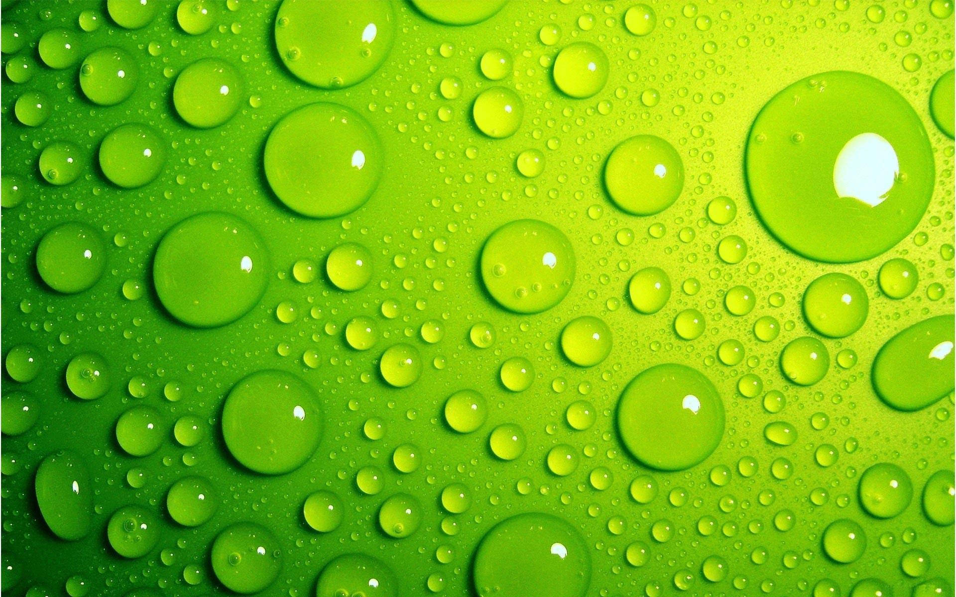 Light Green Droplets Wallpaper