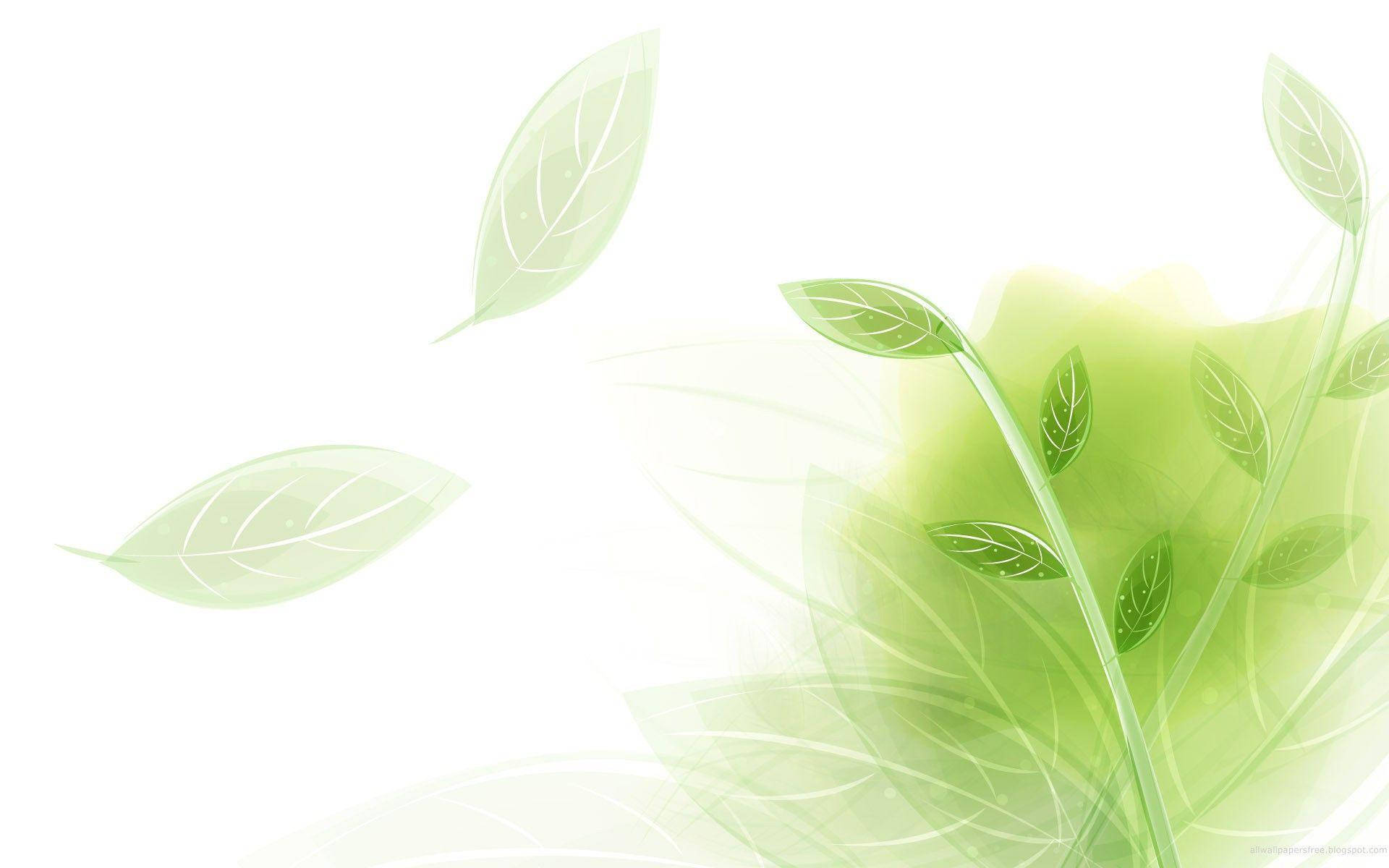 Download Light Green Leaves Illustration Wallpaper 