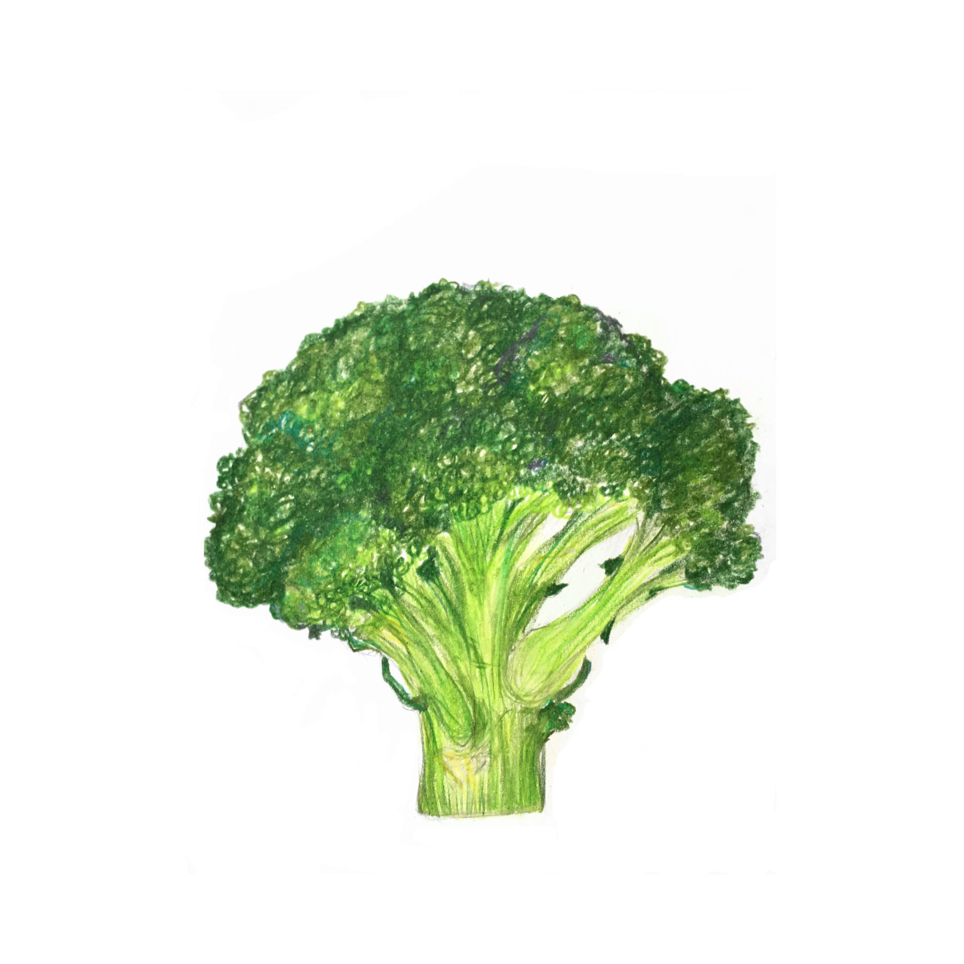Light Green One Piece Broccoli