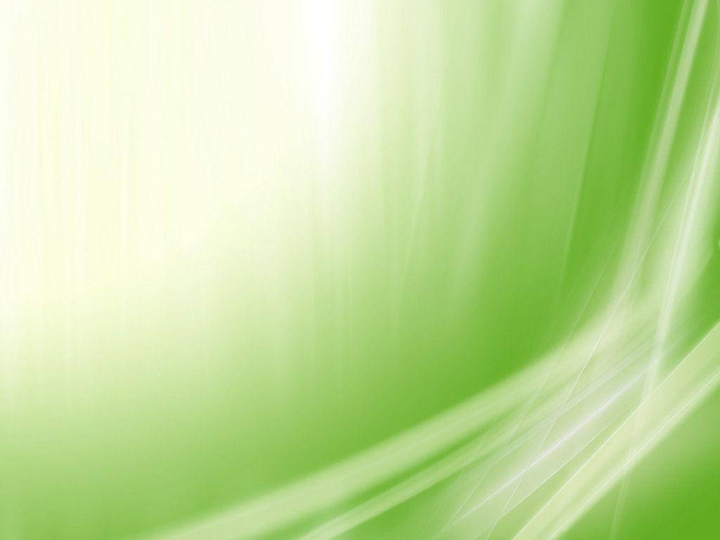 Light Green Plain Abstract Glow Waves Wallpaper