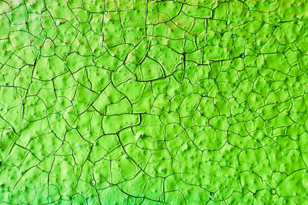 Light Green Plain Leaf Texture Wallpaper