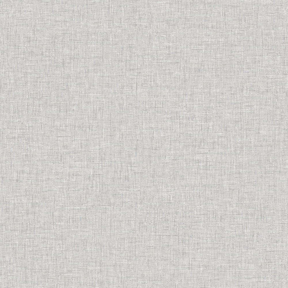 Soft and Subtle Light Grey Background