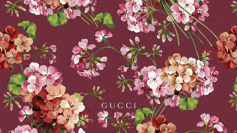 Light Maroon Floral Gucci 4k Wallpaper
