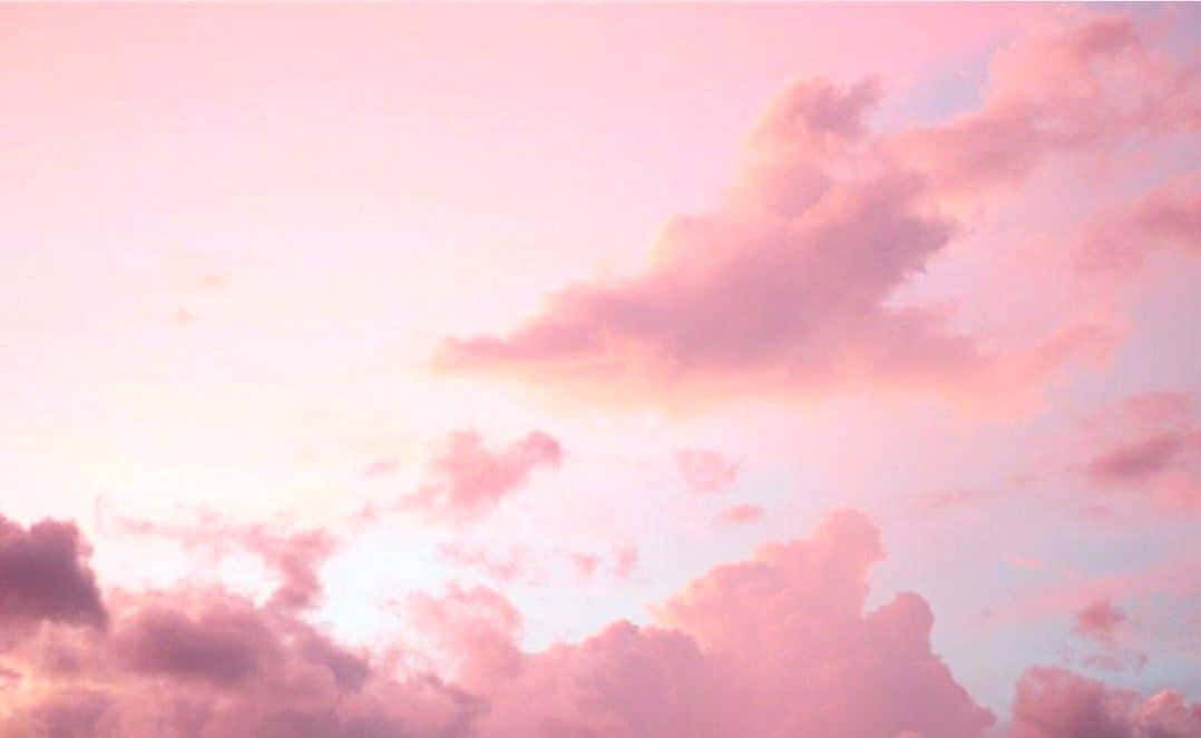 Explore the Pastel Aesthetic Beauty of this Soft, Light Pink Visual