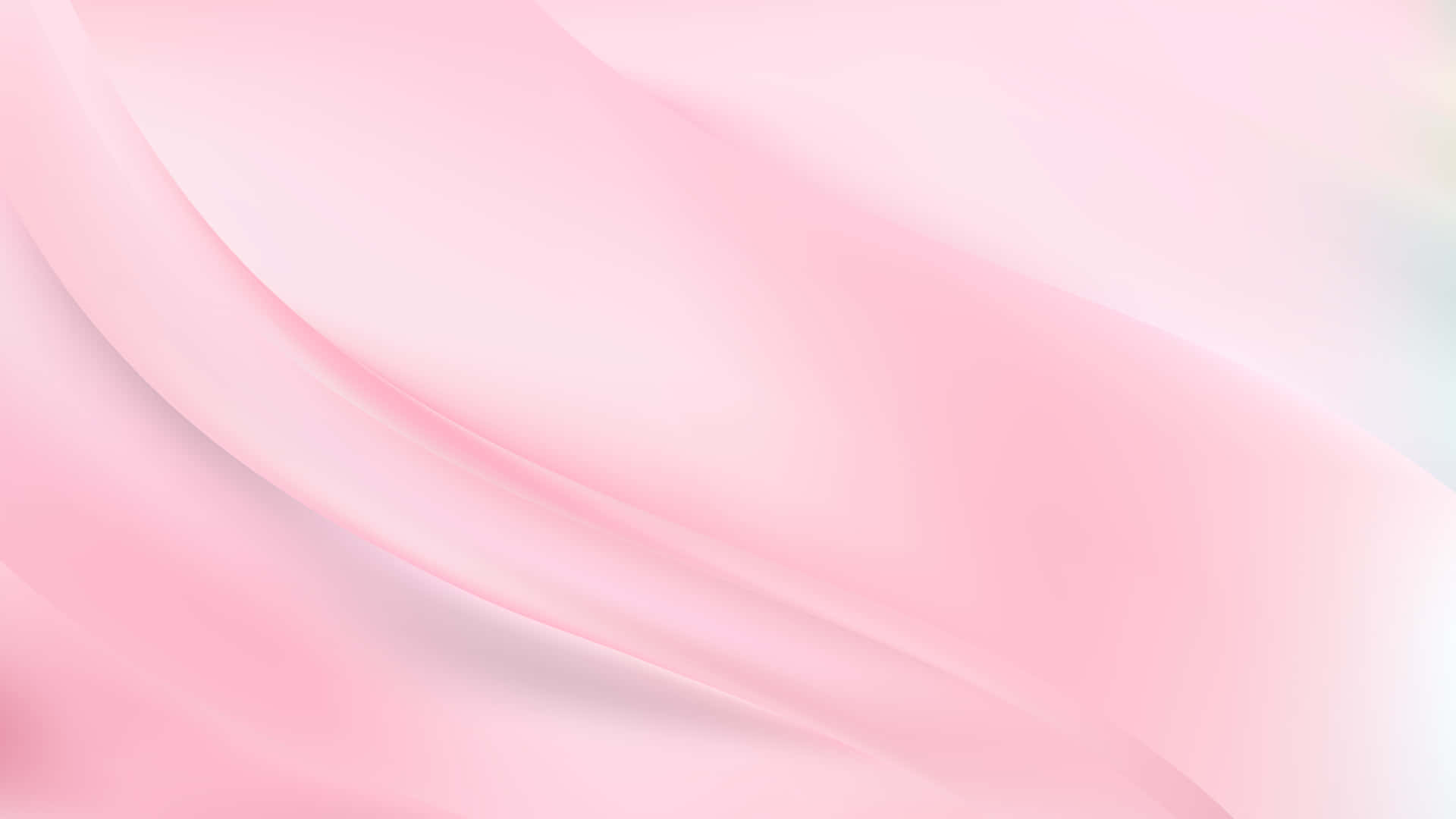 Tender Blush - A Light Pink Background