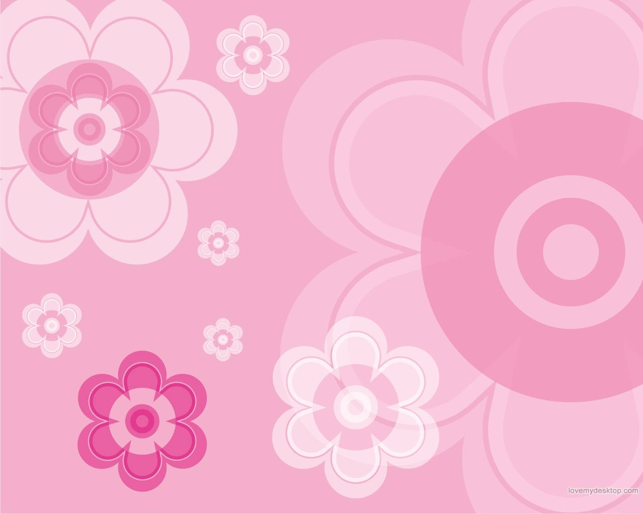 Light Pink Color Flowers Wallpaper