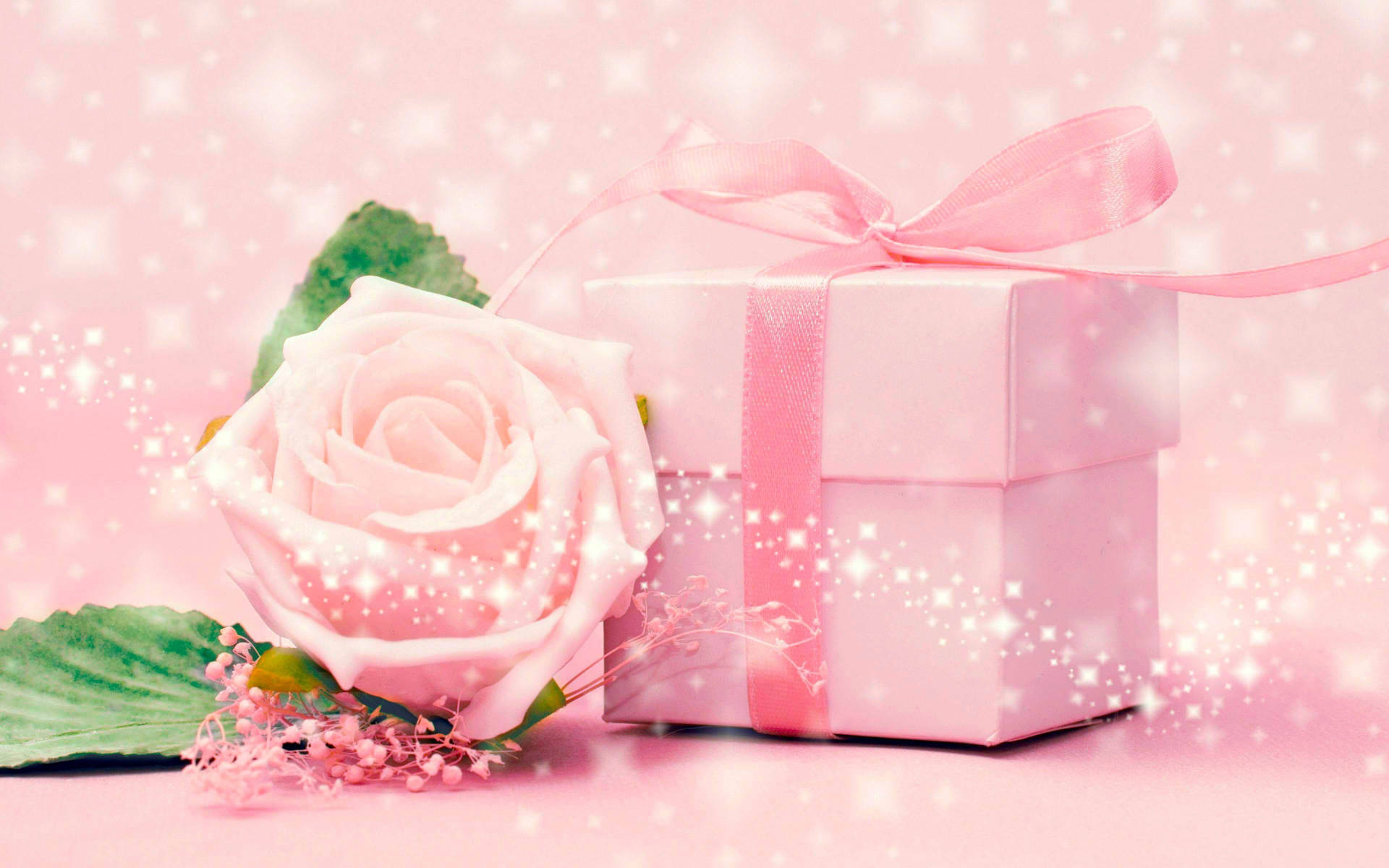 Light Pink Gift Wallpaper