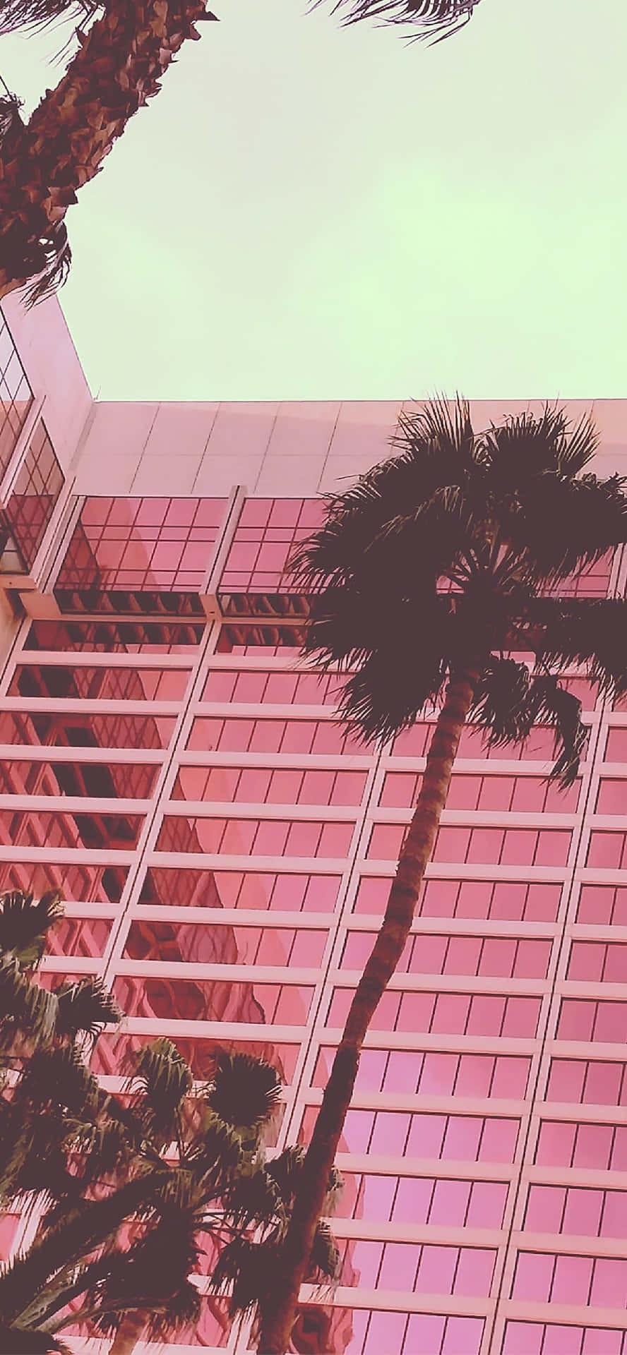 En pink bygning med palme træer, der tegner sig som skygger mod en lysegul himmel. Wallpaper