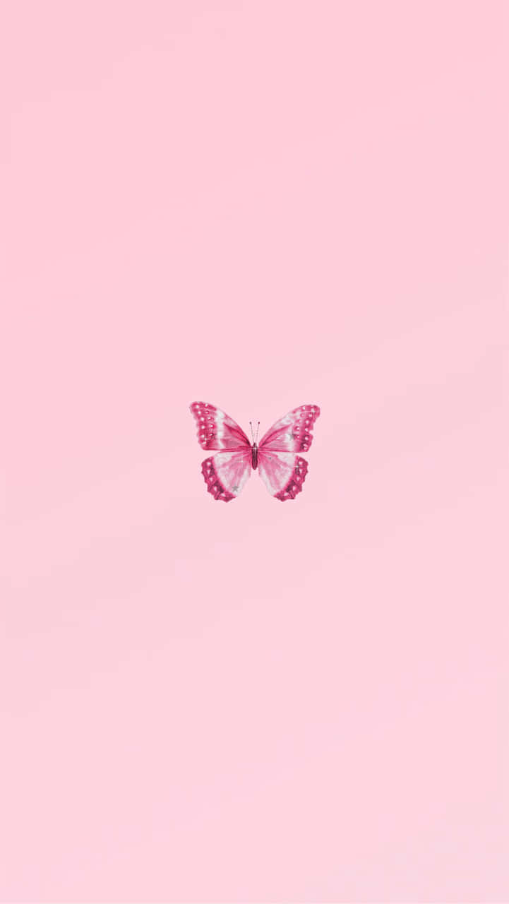En pink sommerfugl på en pink baggrund Wallpaper