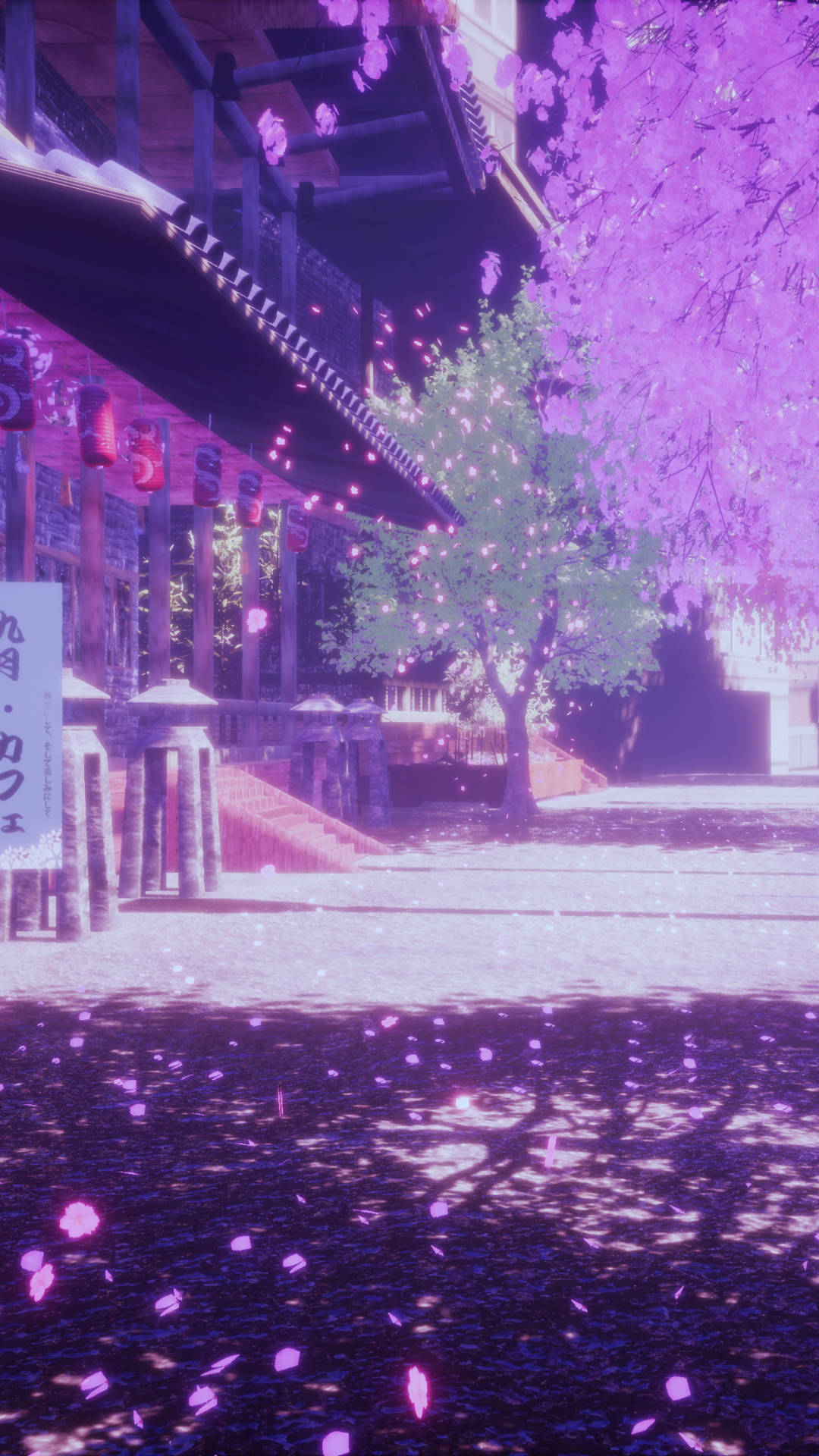 Light Purple Aesthetic Cherry Blossoms Wallpaper