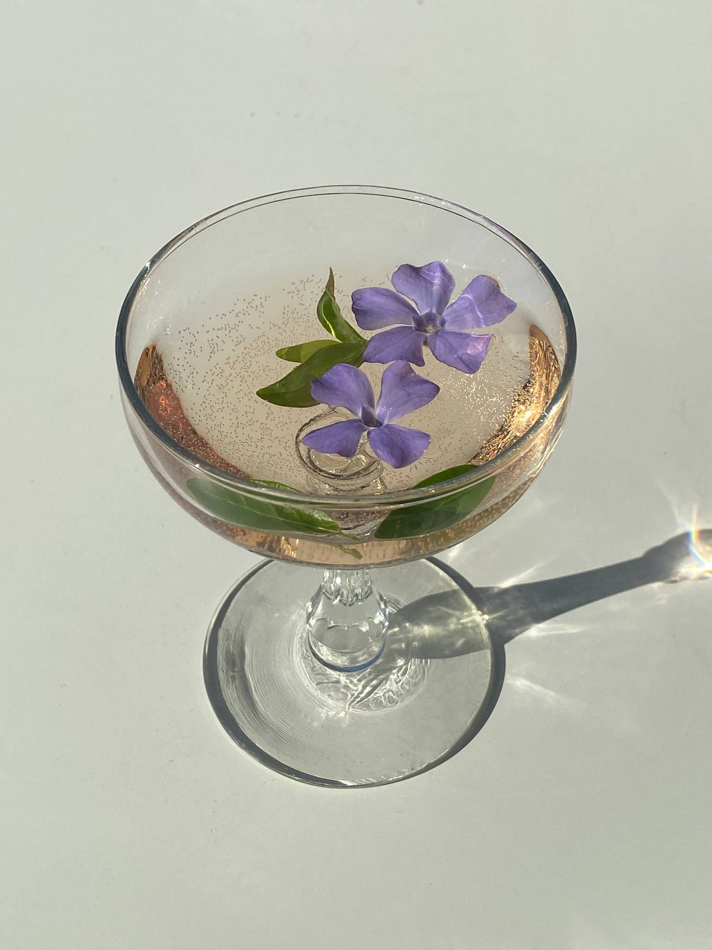 Light Purple Aesthetic Cocktail Background