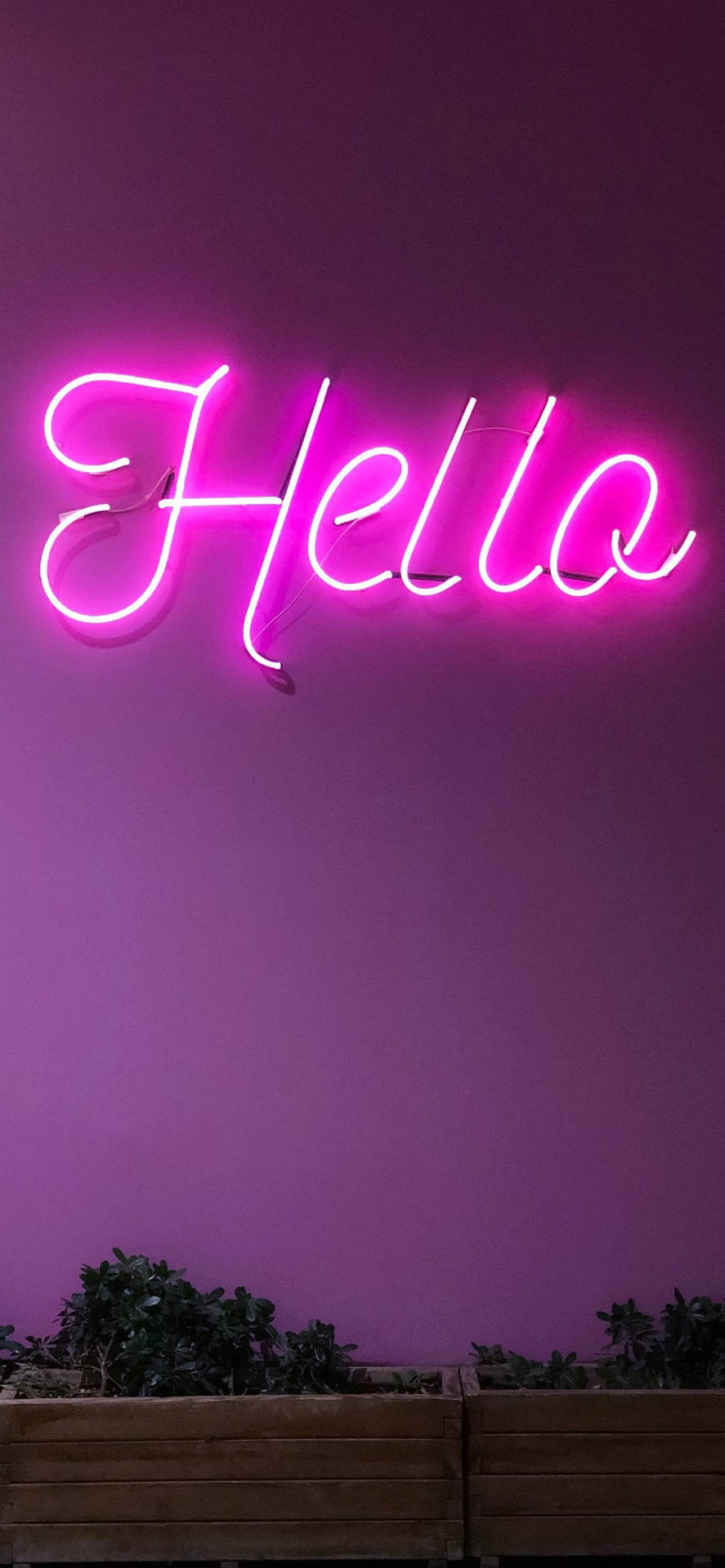 Light Purple Aesthetic Hello In Neon Wallpaper