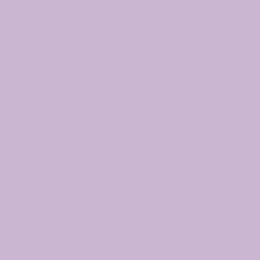 A peaceful mix of light purple and a subtle white gradience
