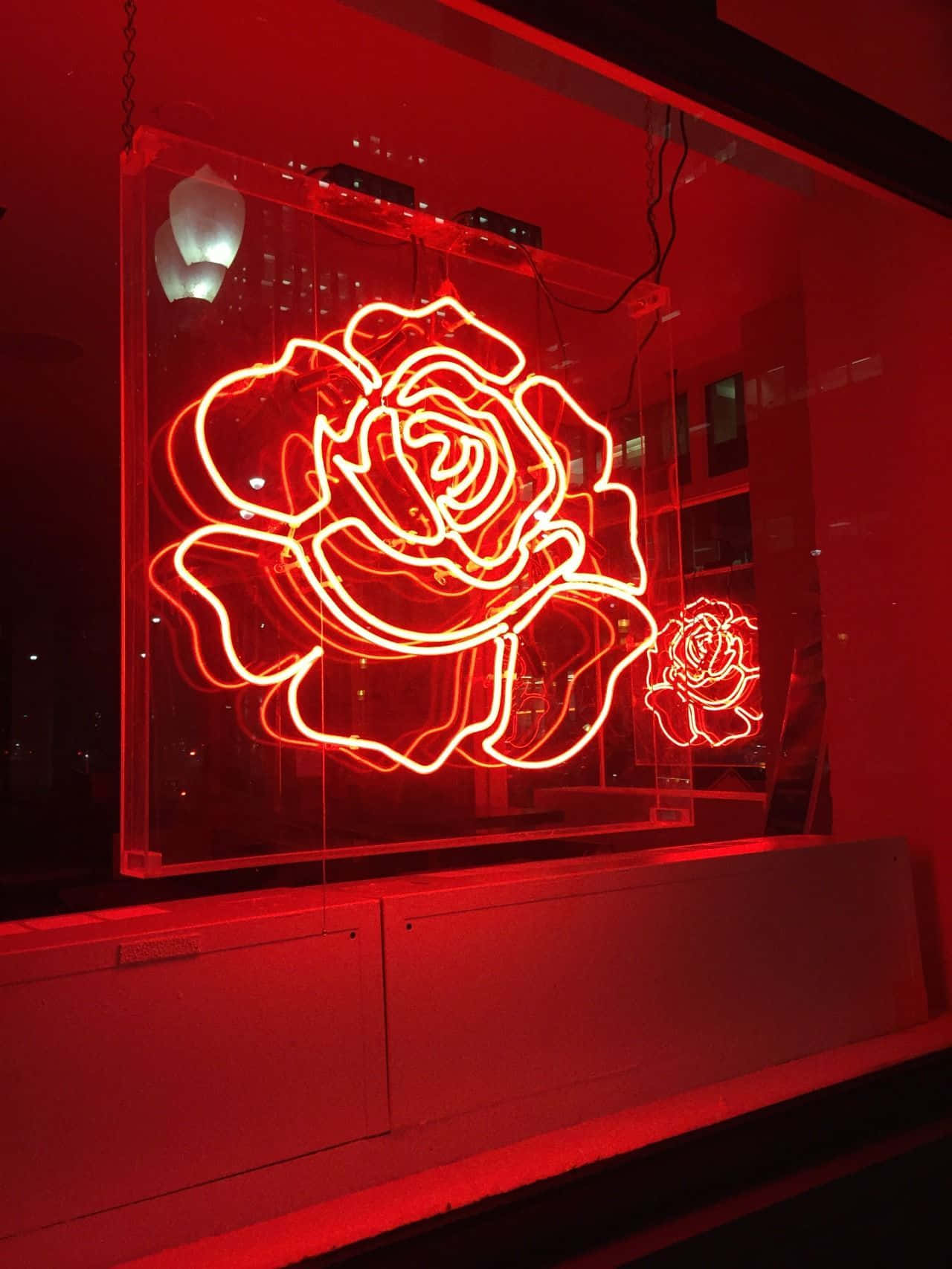 Neon Rose Light Red Background