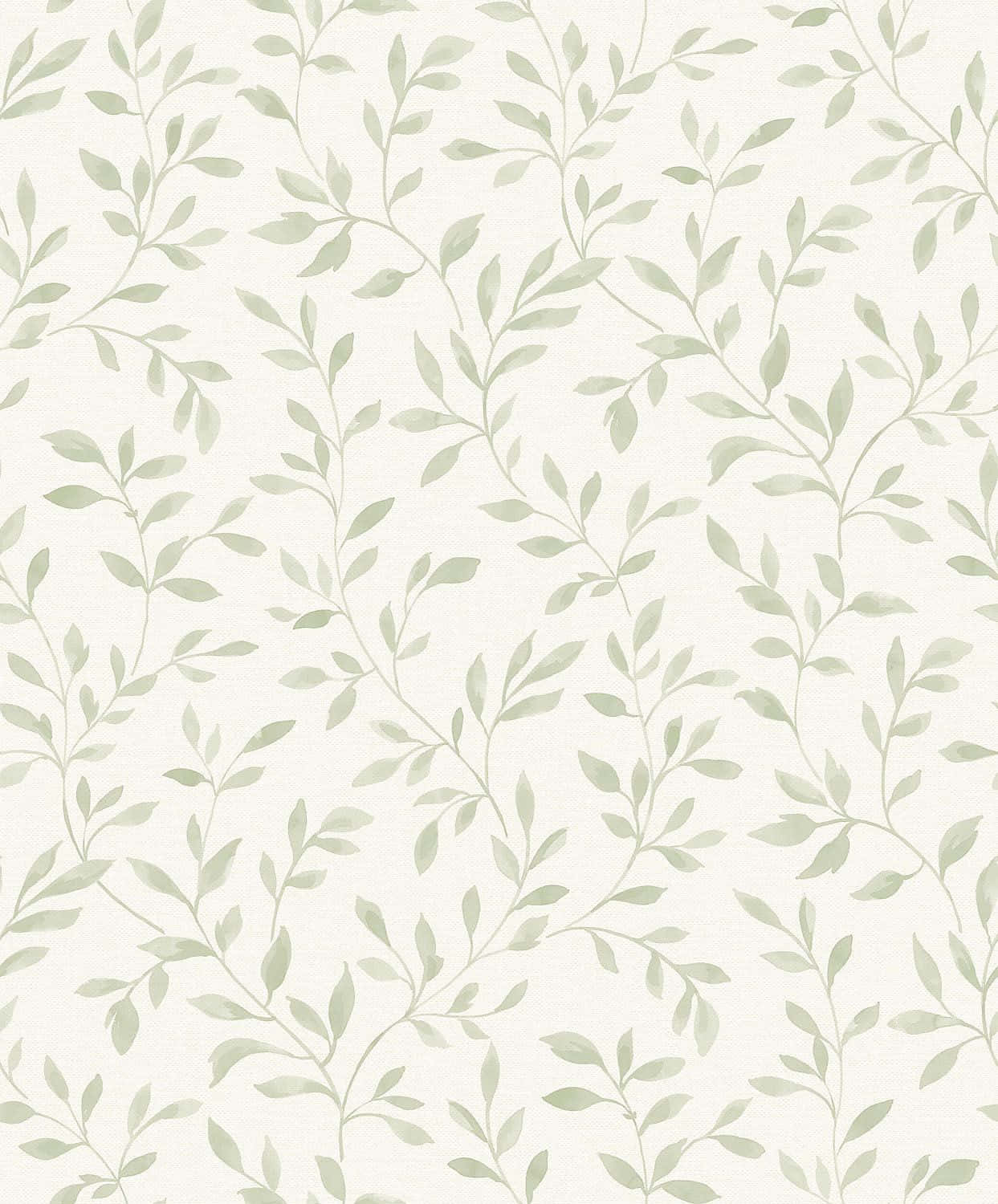 A Green And White Leaf Wallpaper