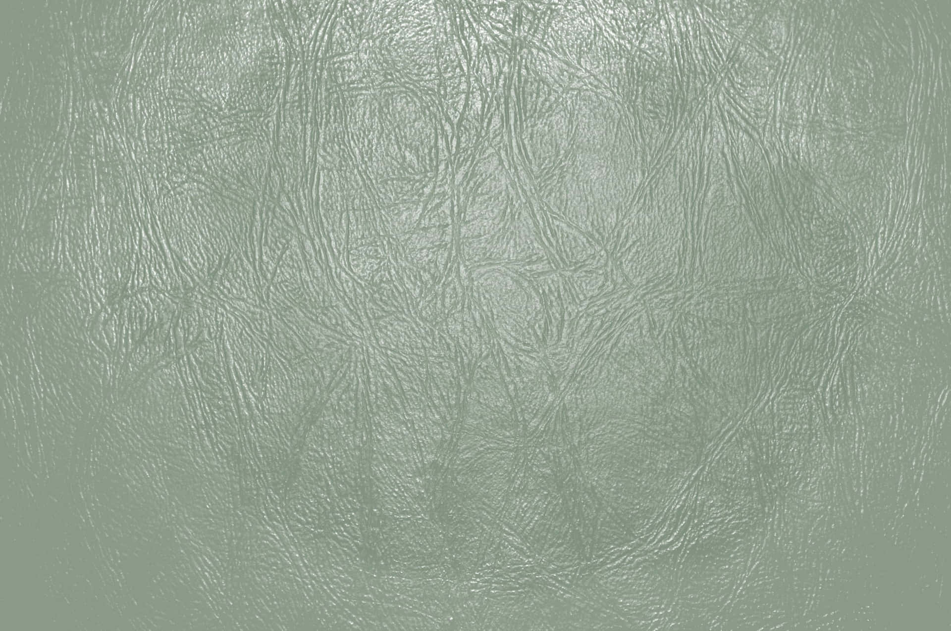 Soft Sage Green Background