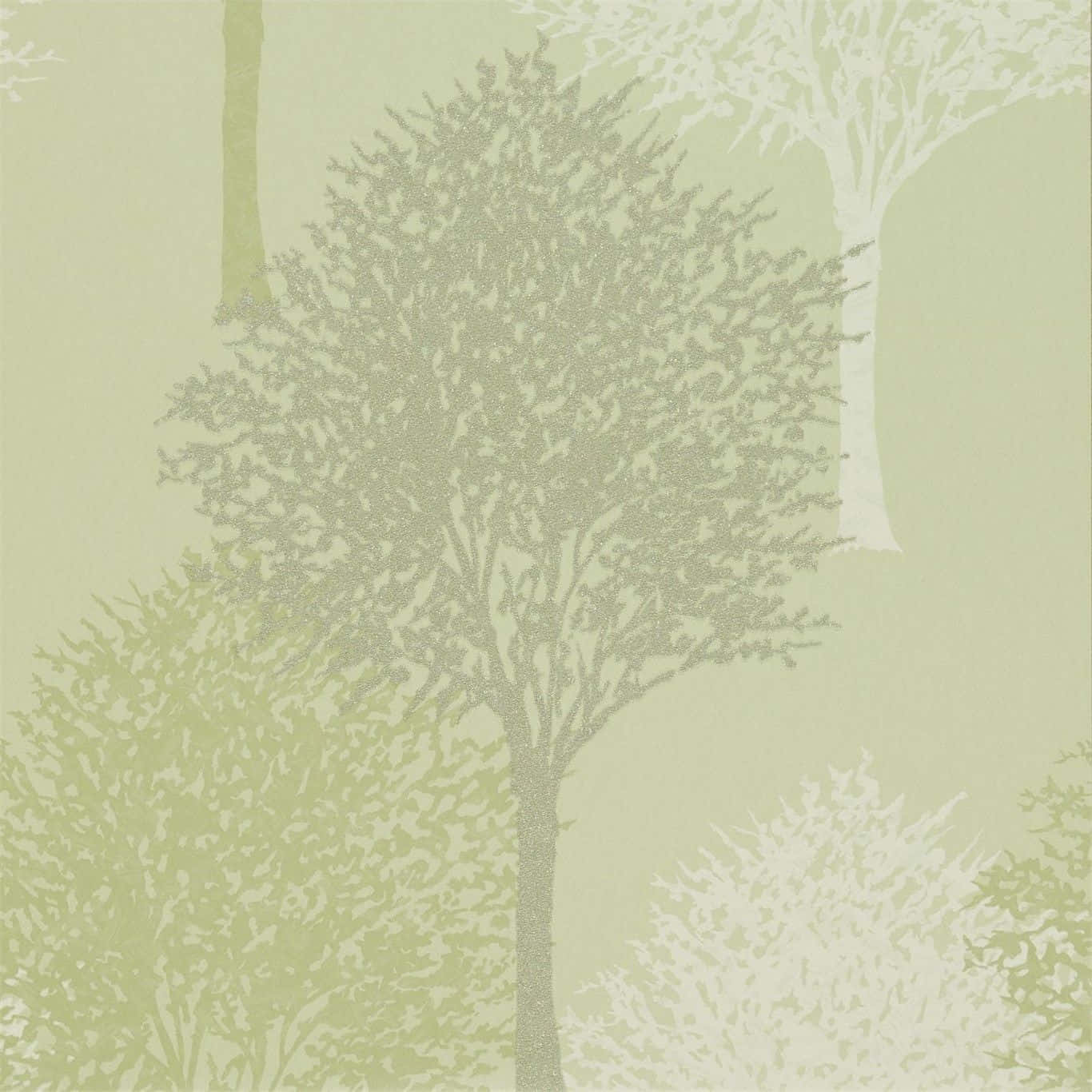 Light Sage Green Background Wall Trees Decoration Background