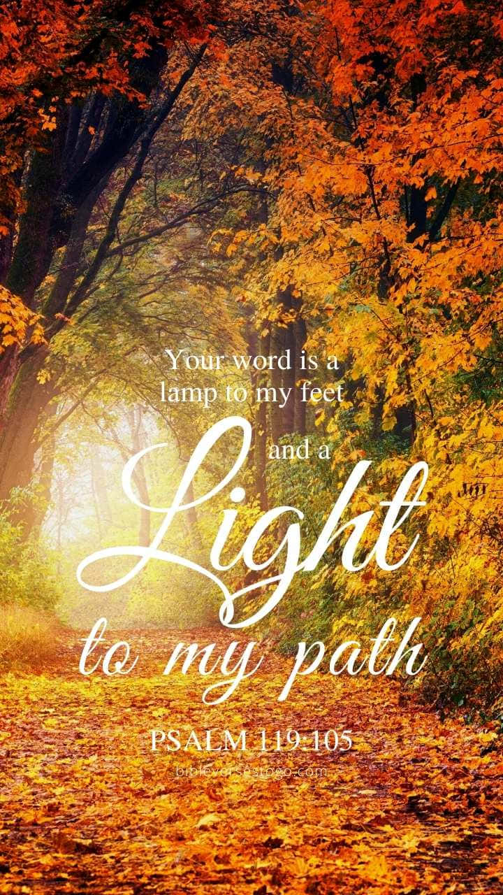 Light To My Path Bible Verse Wallpaper