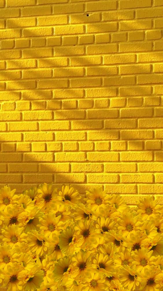Corner Of Light Yellow Wallpaper
