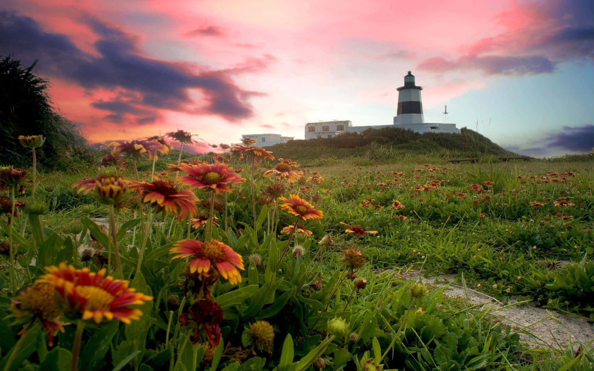 Lighthouse_ Amidst_ Flowers_at_ Sunset Wallpaper