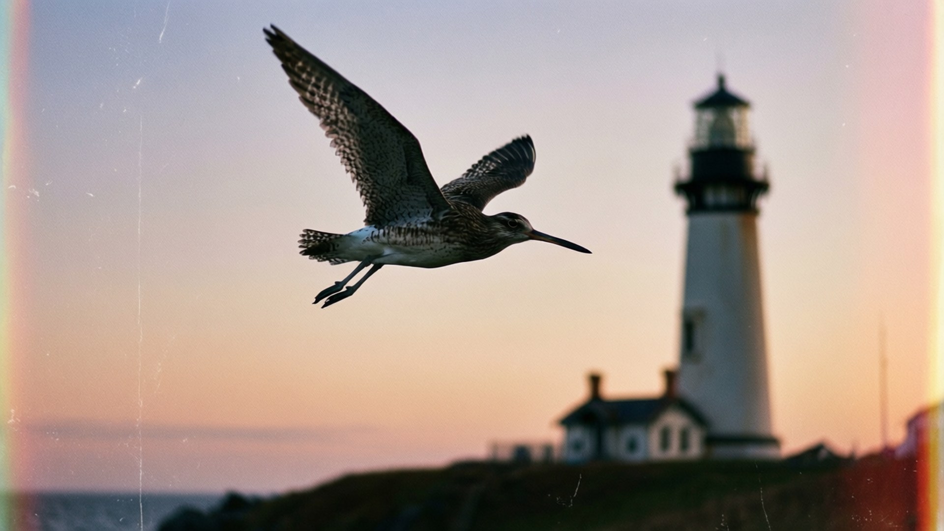 Lighthouse Flight Bakgrunner