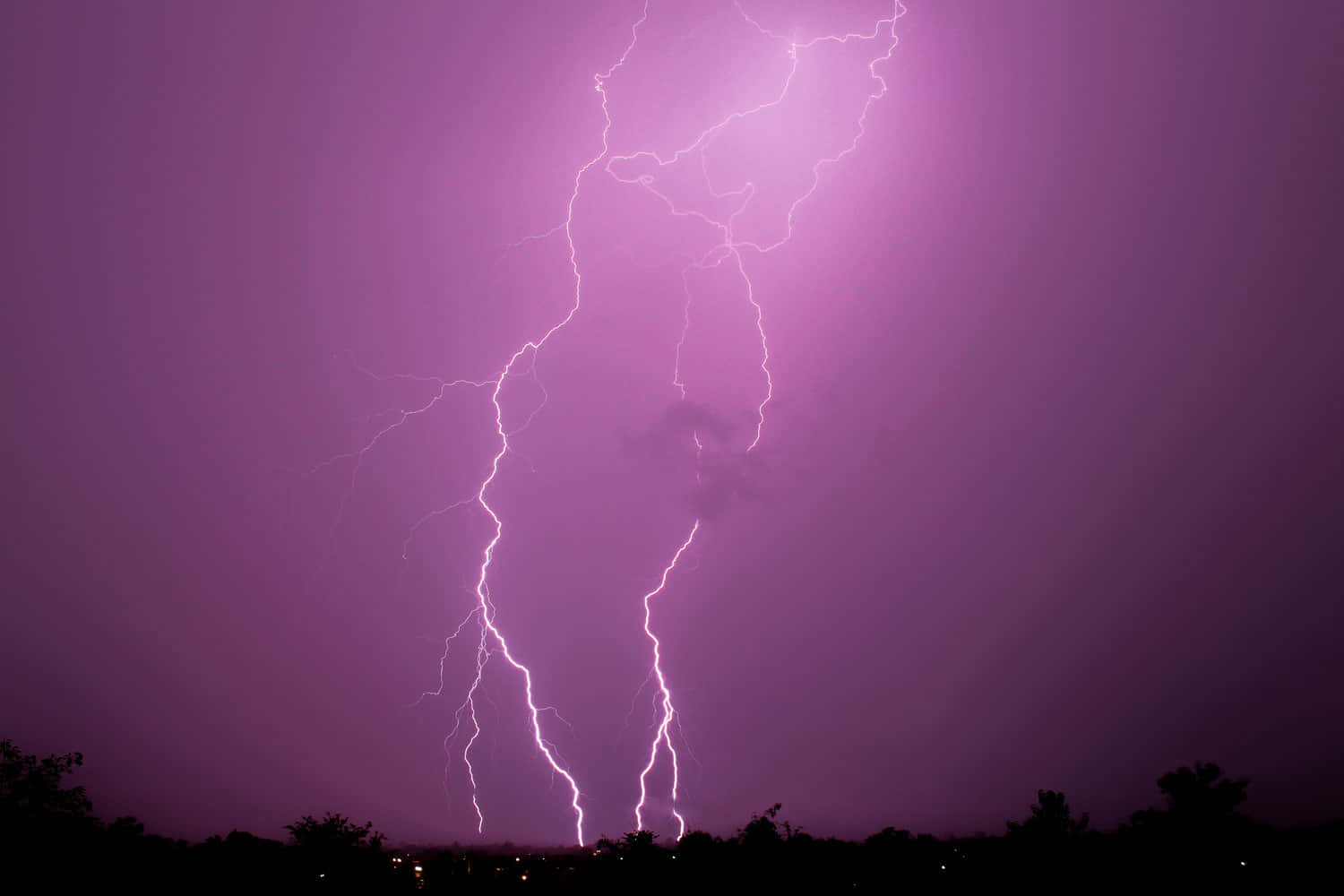 Striking Lightning Illuminating the Dark Sky