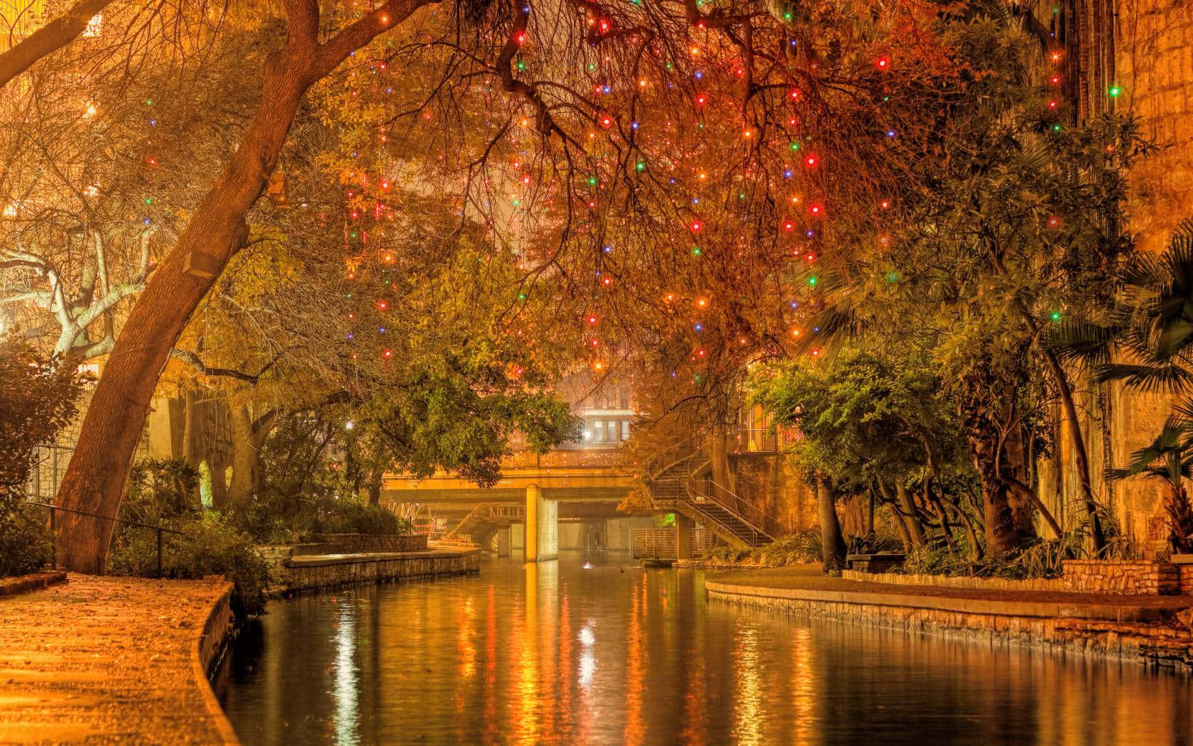 A Canal With Christmas Lights And Trees