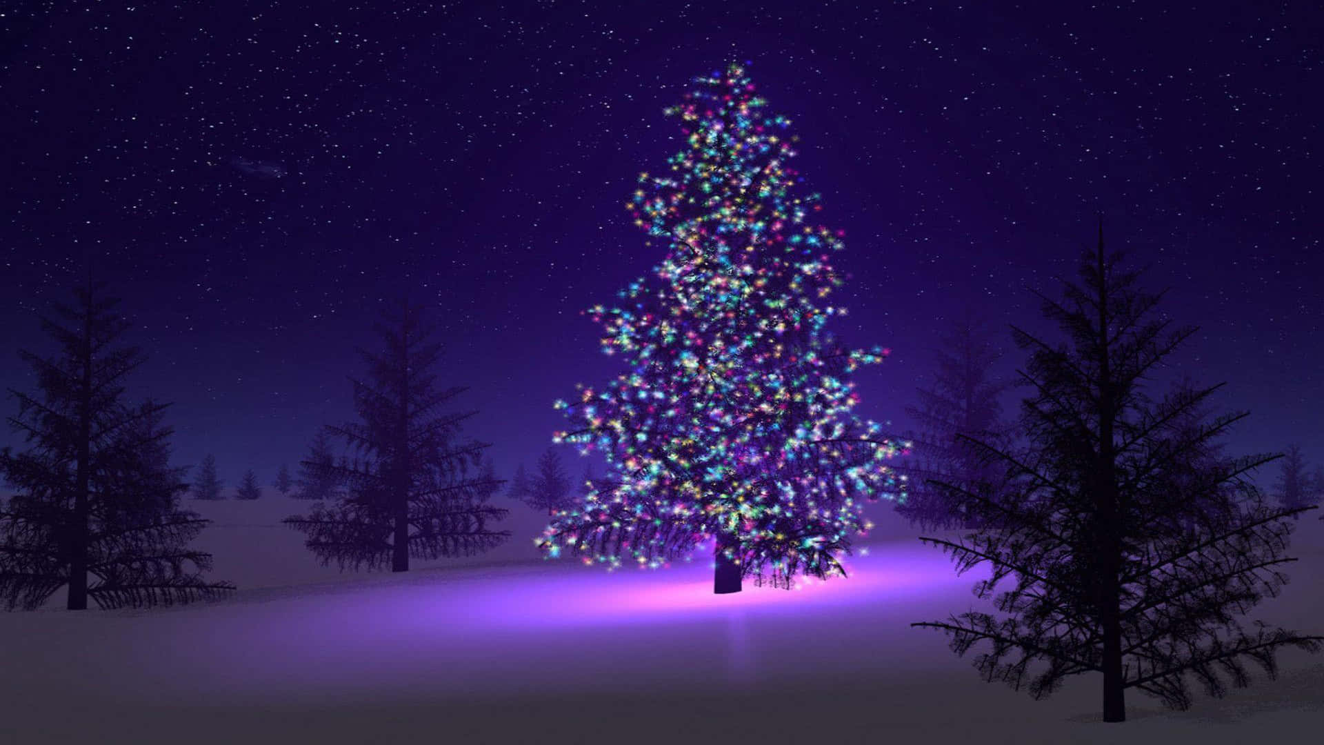 Lights Indigo Christmas Tree Wallpaper