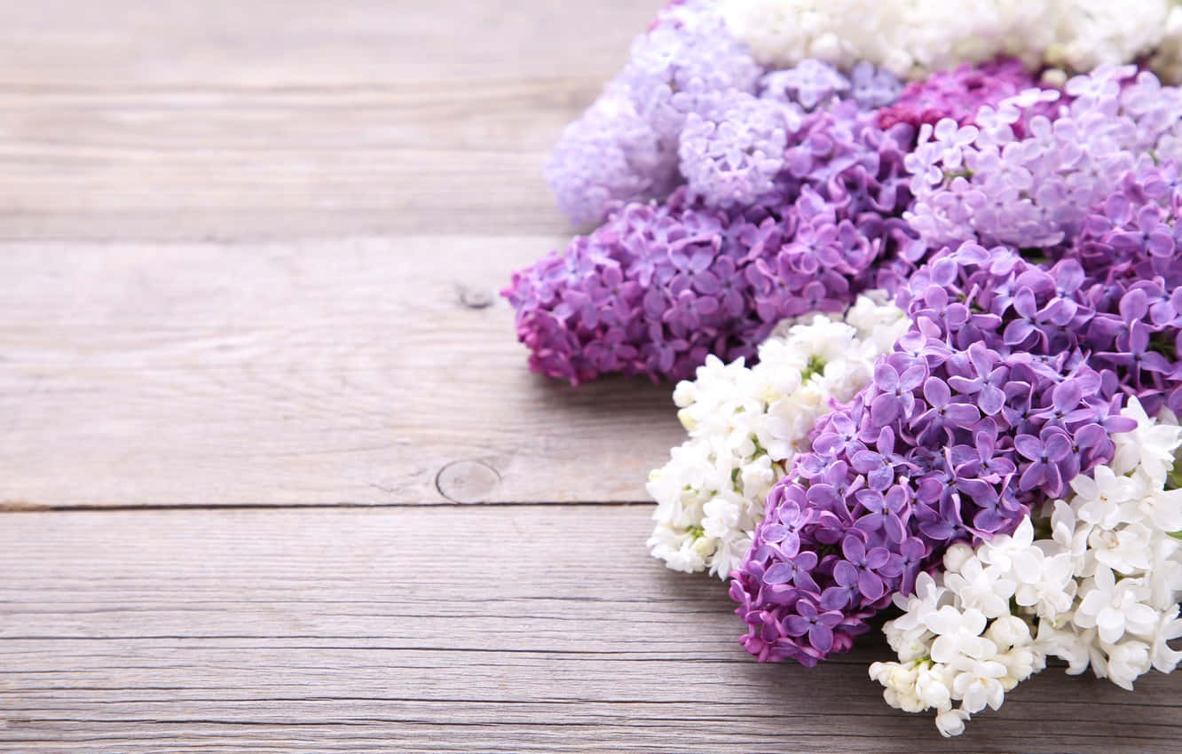 Wood With Fresh Lilacs Background