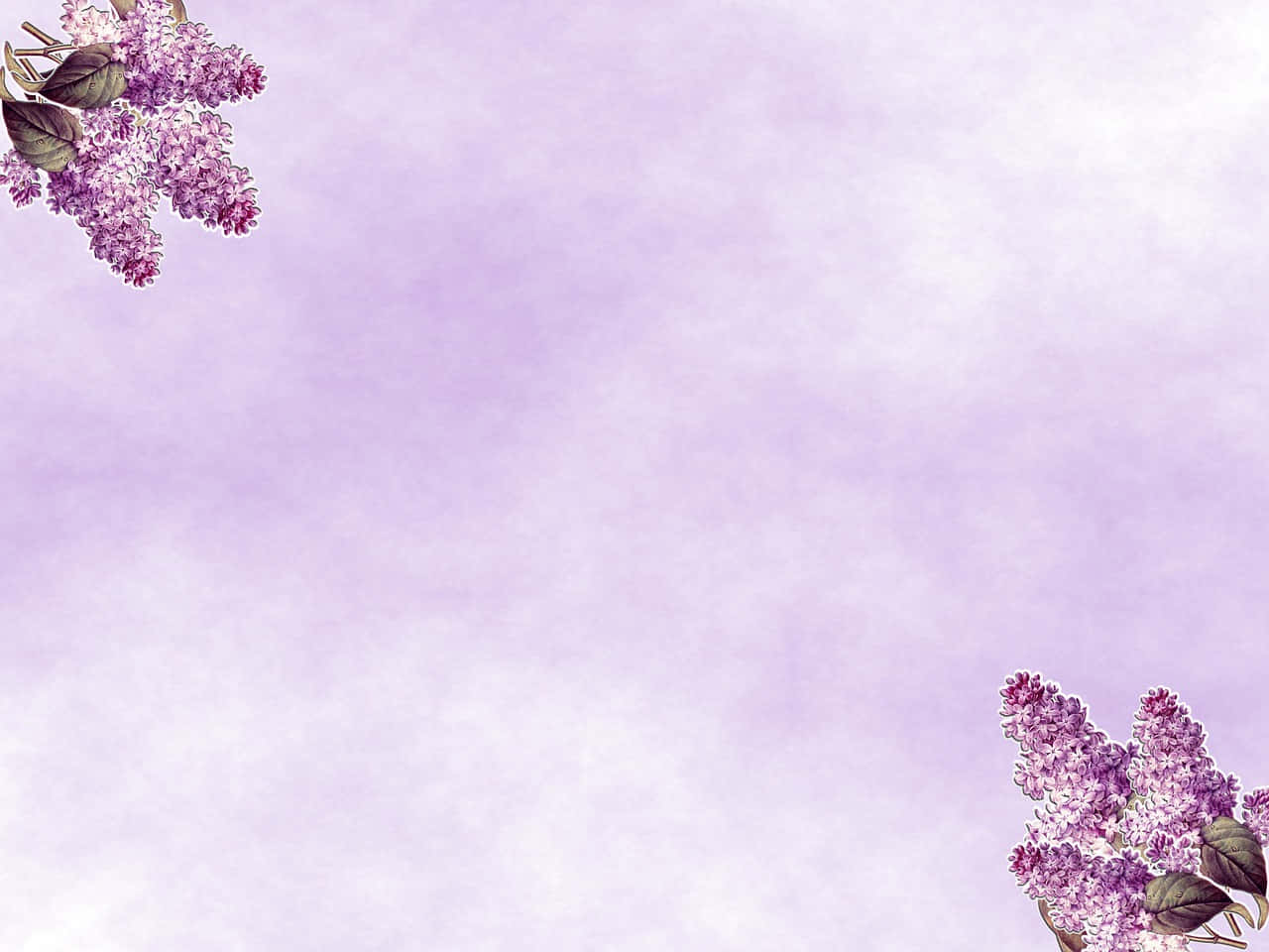 Sky Digital Art Lilacs Background