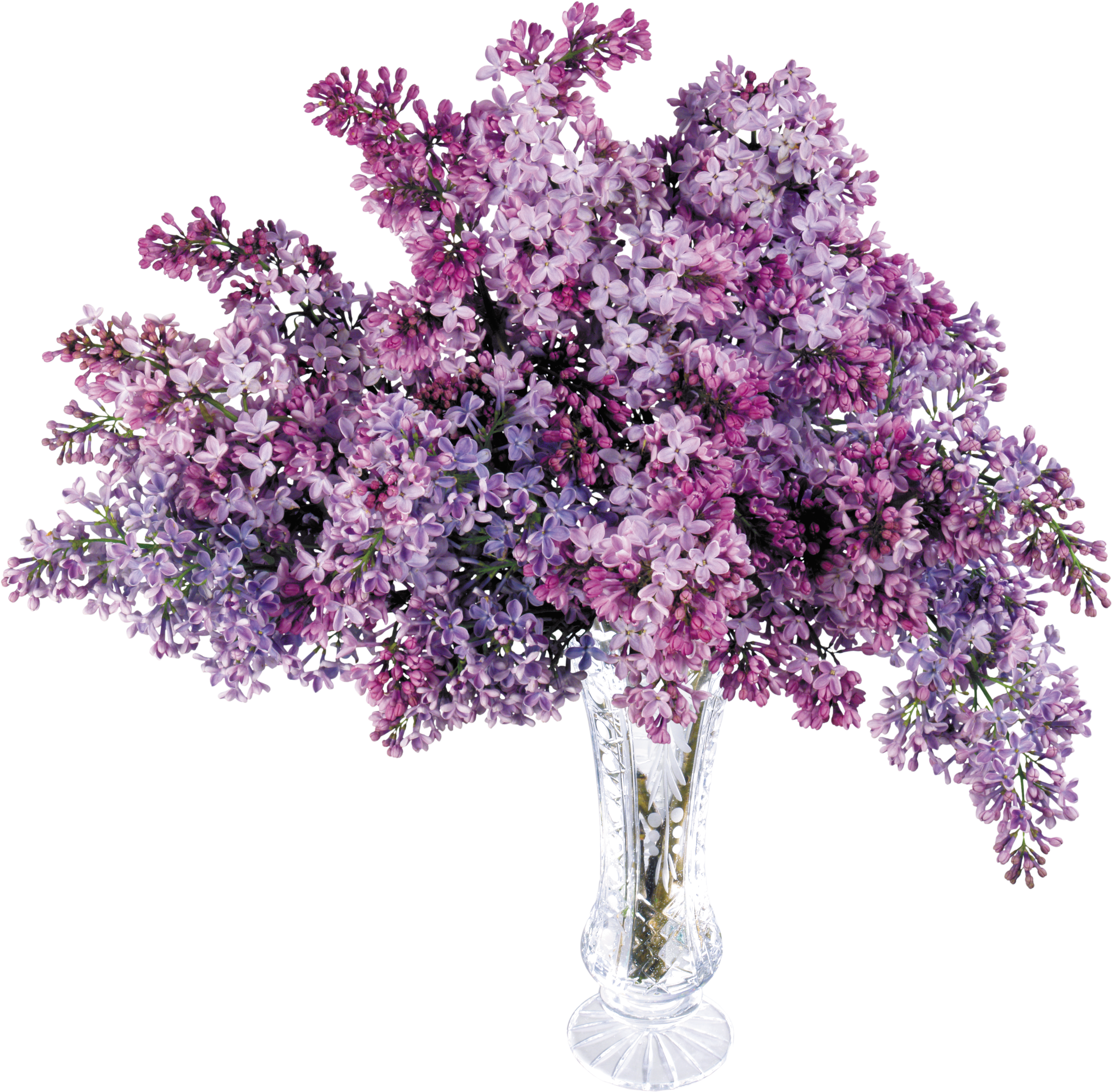 Lilac Bouquetin Crystal Vase PNG