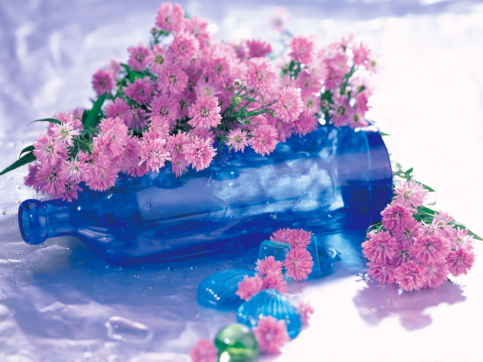 :Image  Breathtakingly Beautiful Lilac Color Wallpaper
