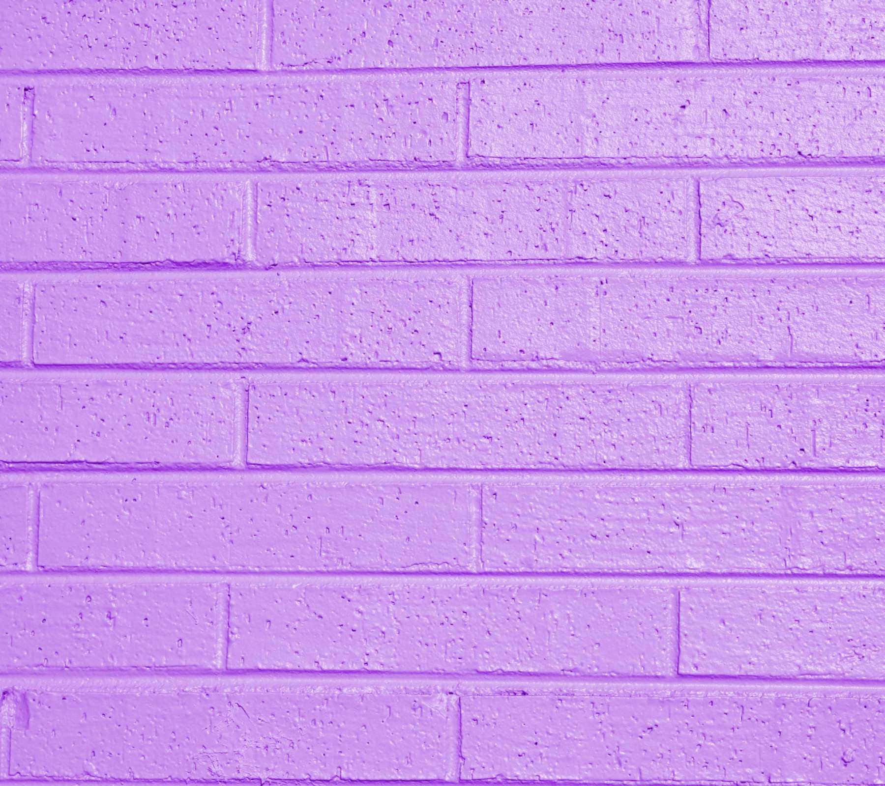 Soft and Elegant Lilac Color Wallpaper