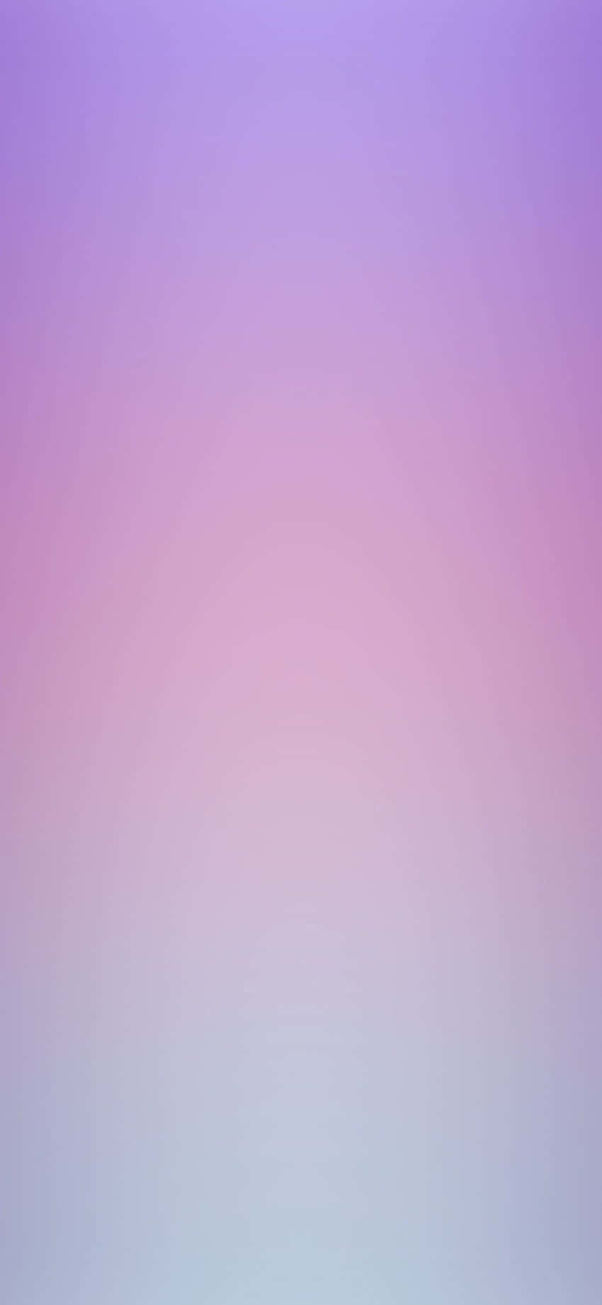 A Burst Of Lilac Color In The Sky Wallpaper