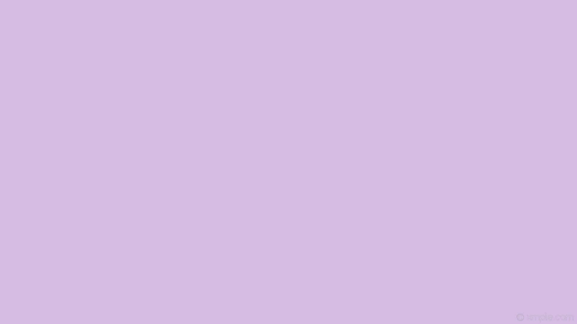 A bright and refreshing purple hue of lilac. Wallpaper