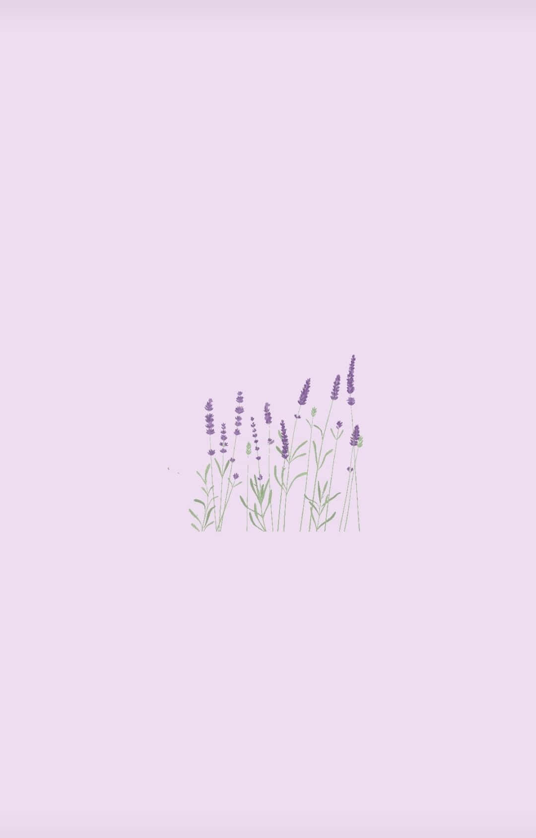 "the Alluring Color Of Lilac" Wallpaper