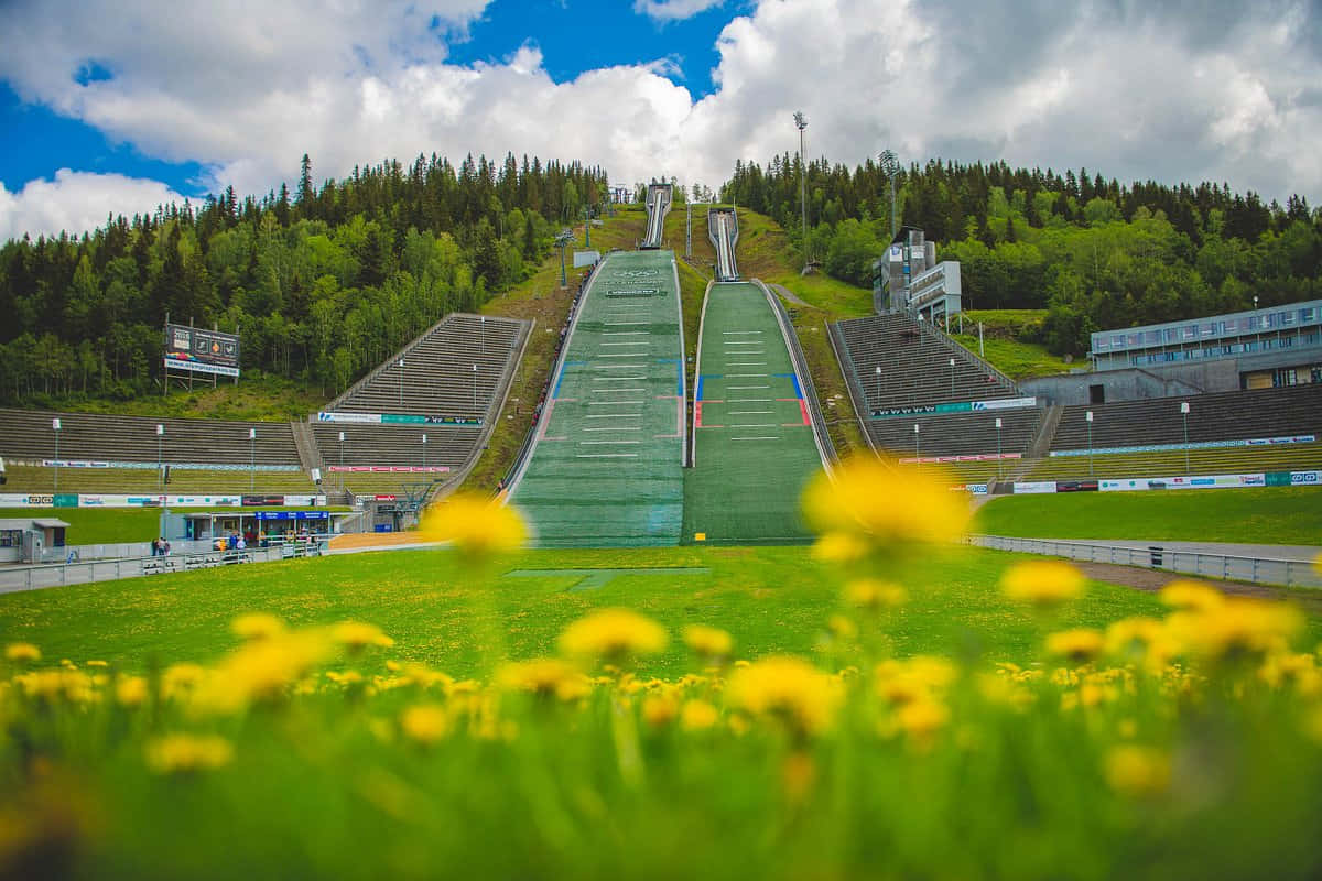 Lillehammer Ski Jumping Summer Wallpaper