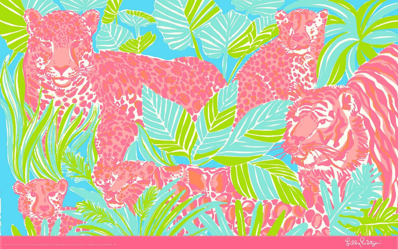 Step into Summers with Lilly Pulitzer