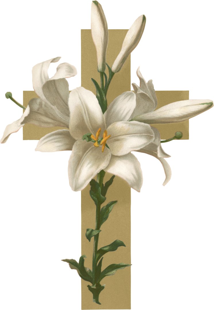 Lily Cross Funeral Symbol PNG