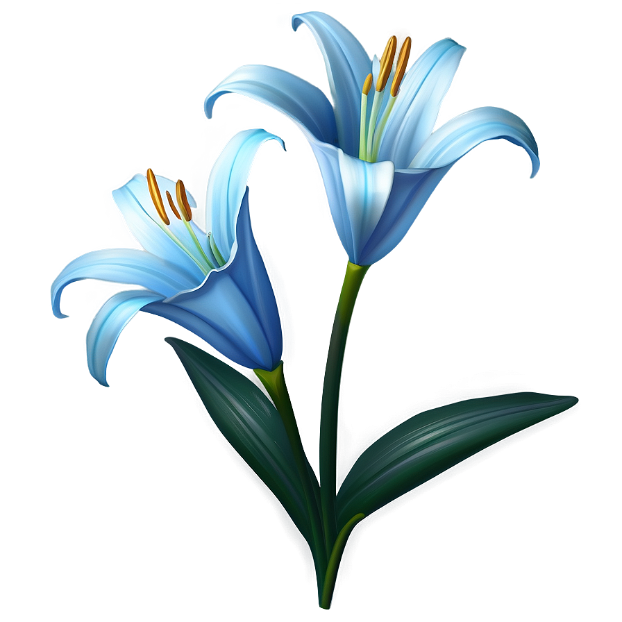Lily Flower Art Png 88 PNG