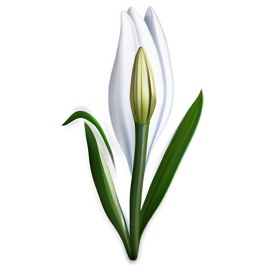 Lily Flower Bud Png Jiy4 PNG