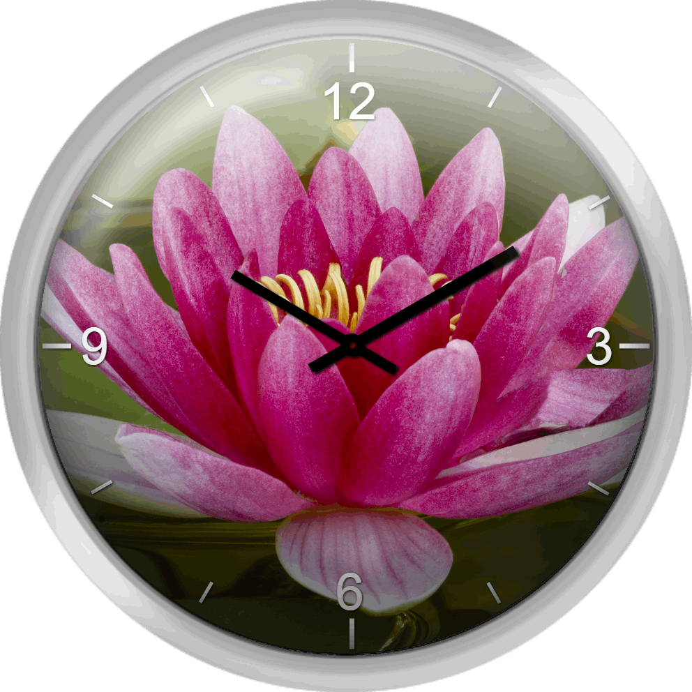Lily Flower Clock Design PNG