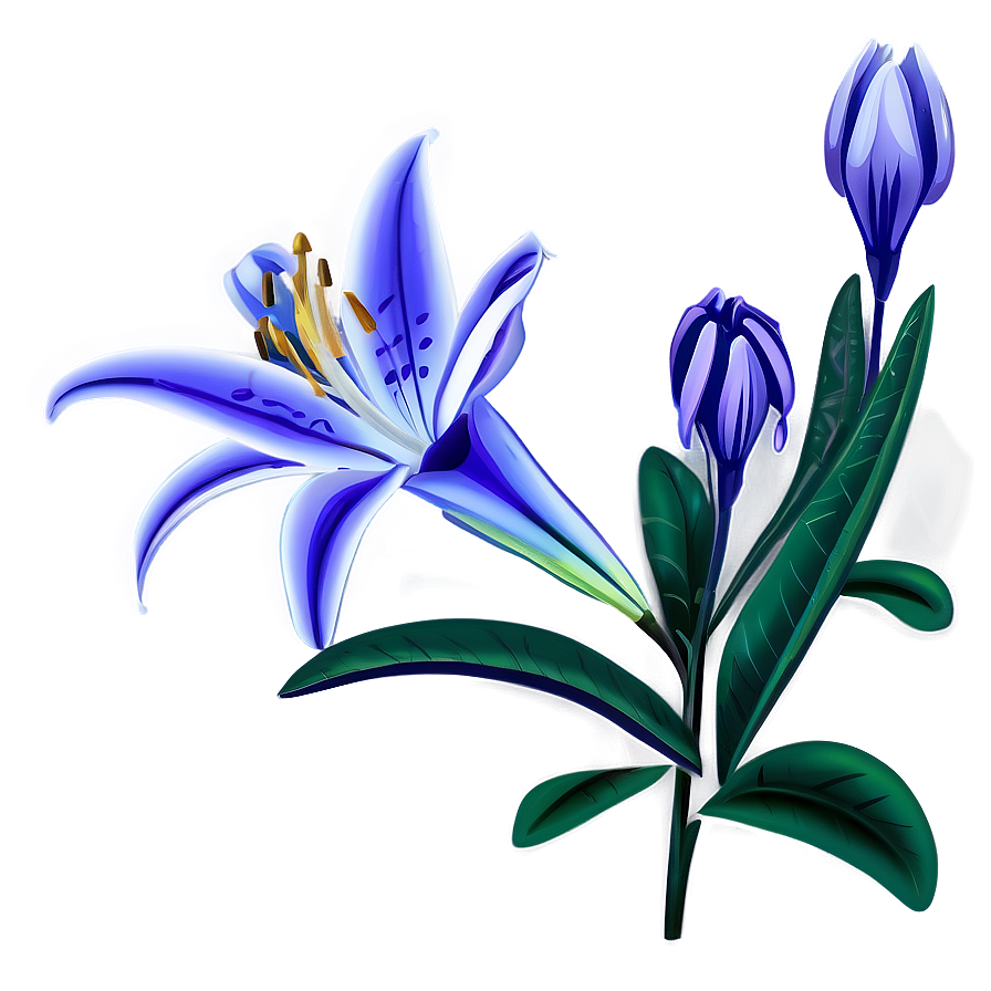 Lily Flower Drawing Png 68 PNG