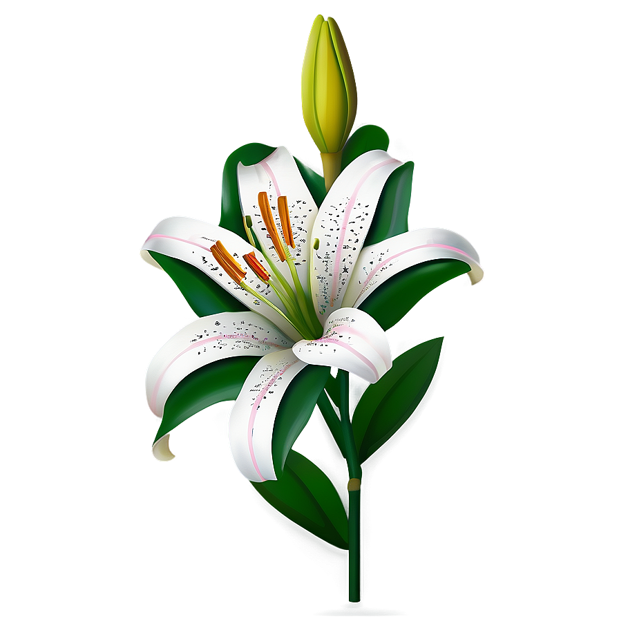 Lily Flower Icon Png Iie PNG