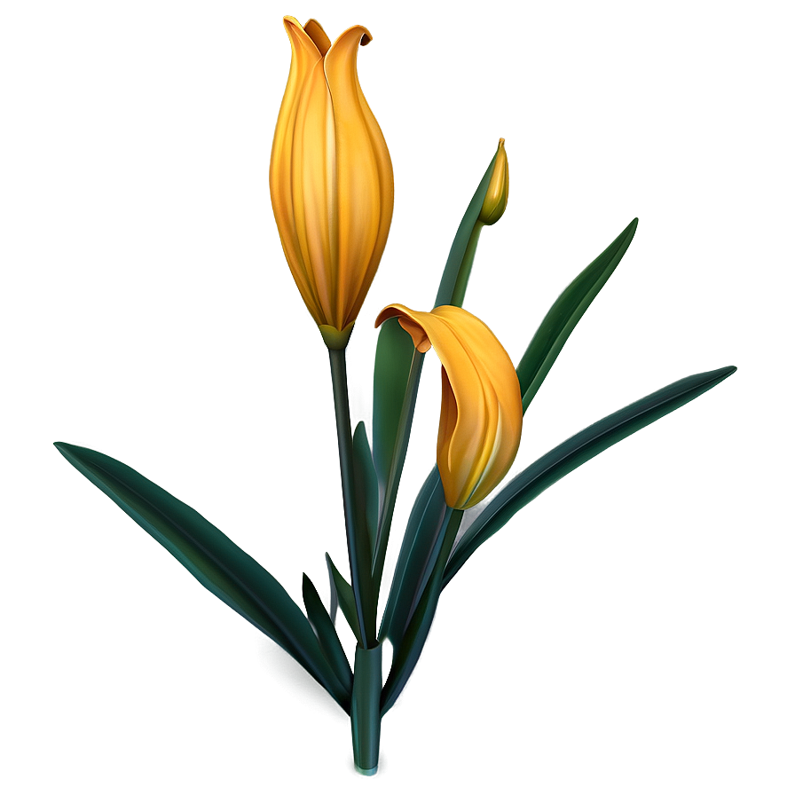 Lily Flower Night Bloom Png Ovc35 PNG
