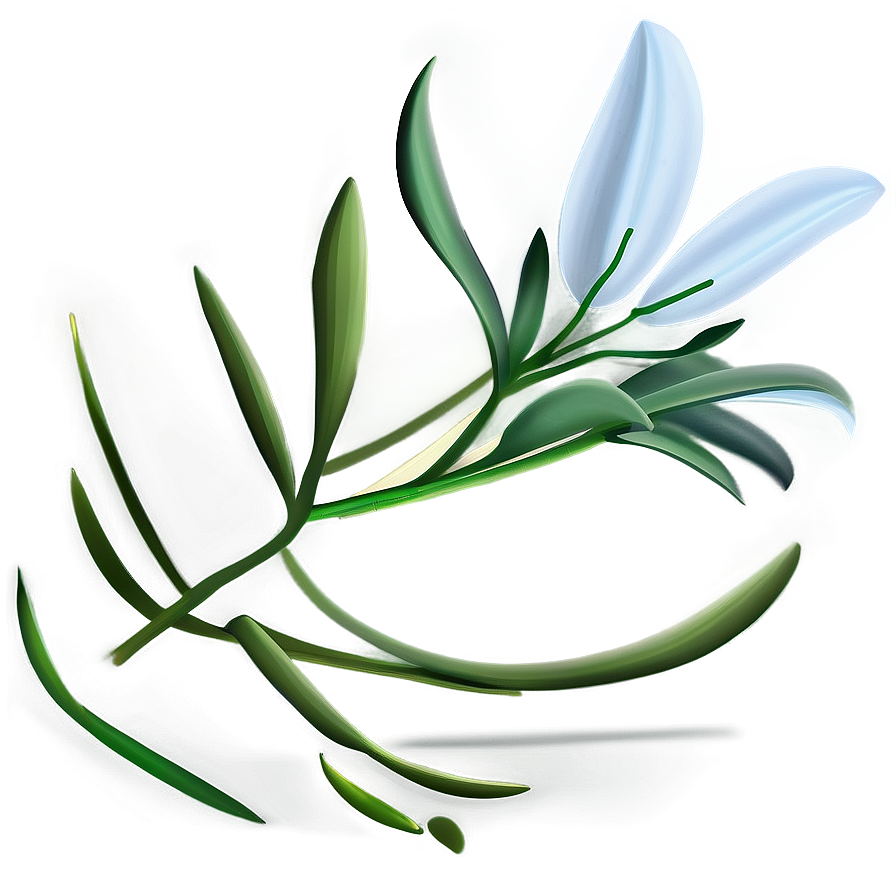 Lily Flower Seed Png Msg78 PNG