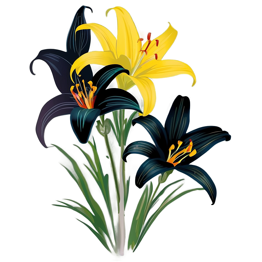 Lily Flower Silhouette Png 06272024 PNG