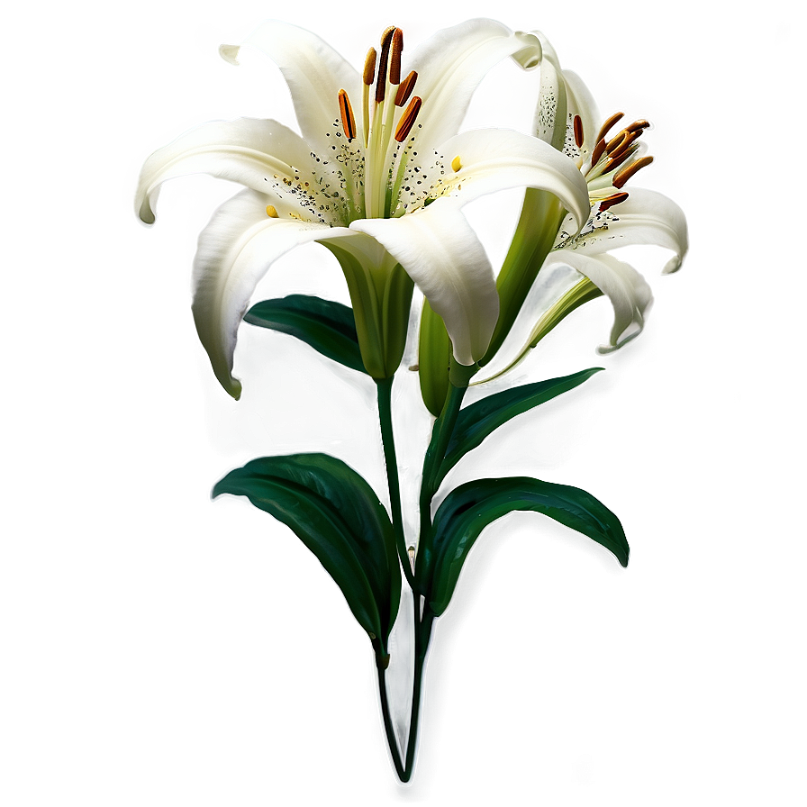 Lily Flower Sticker Png Mmj37 PNG