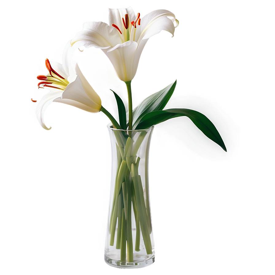 Lily Flower Vase Png 06272024 PNG