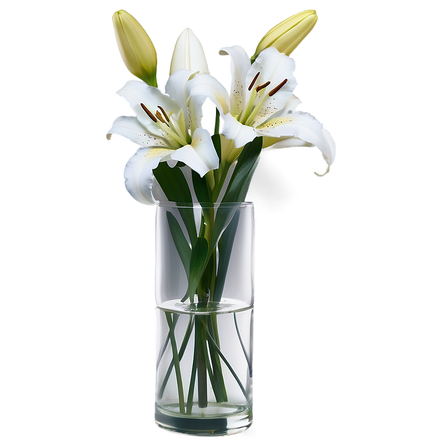Lily Flower Vase Png 43 PNG